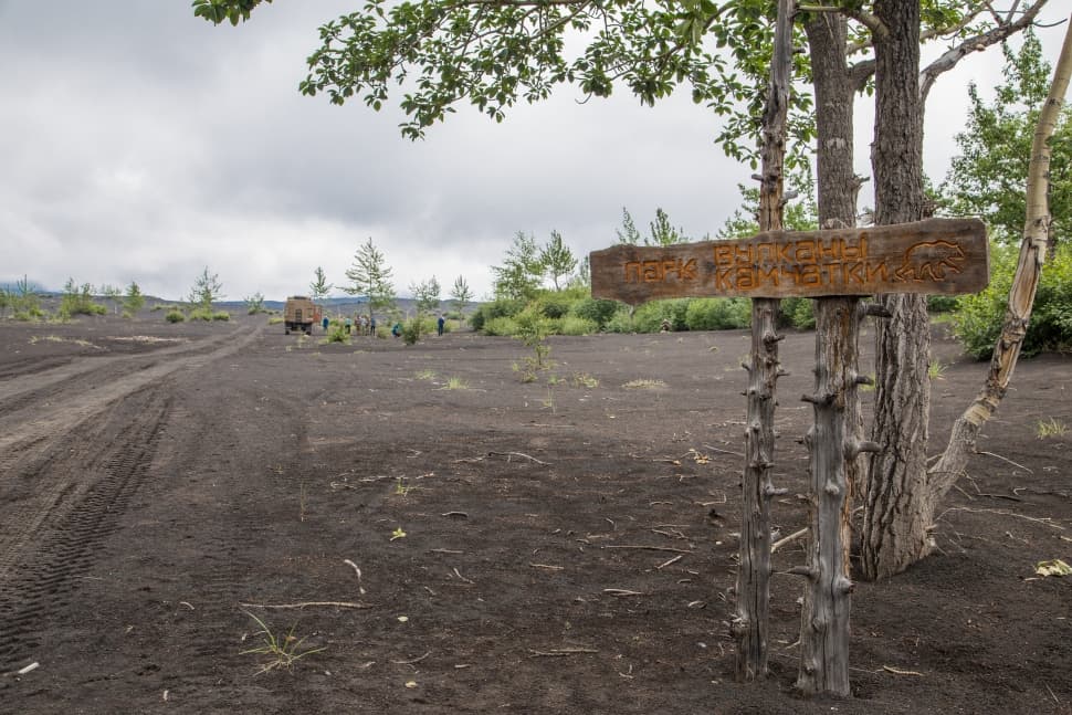 Многогранная Камчатка - фото 17