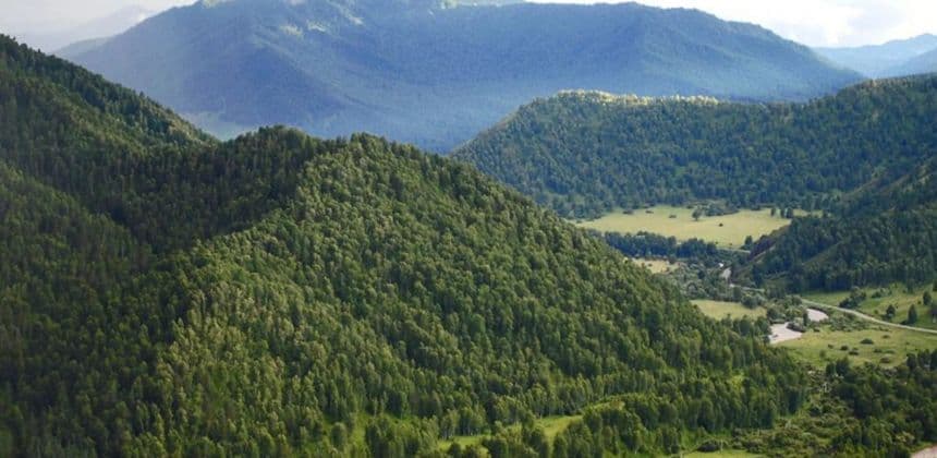 Джип-кругосветка Камайское кольцо (экскурсия для баз в районе с. Манжерок) - фото 3