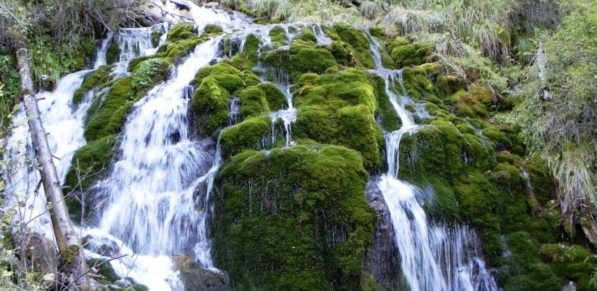 Джип-кругосветка Камайское кольцо (экскурсия для баз в районе с. Манжерок) - фото 1