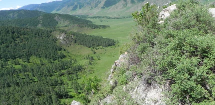 Перевалы Чуйского тракта - за товарами Алтая и Монголии (экскурсия для баз в районе с. Манжерок) - фото 6