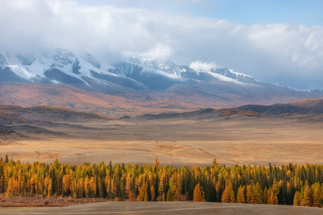 Авторский тур "Алтай & Монголия: Путь кочевников" 10 дней / 9 ночей - фото 1