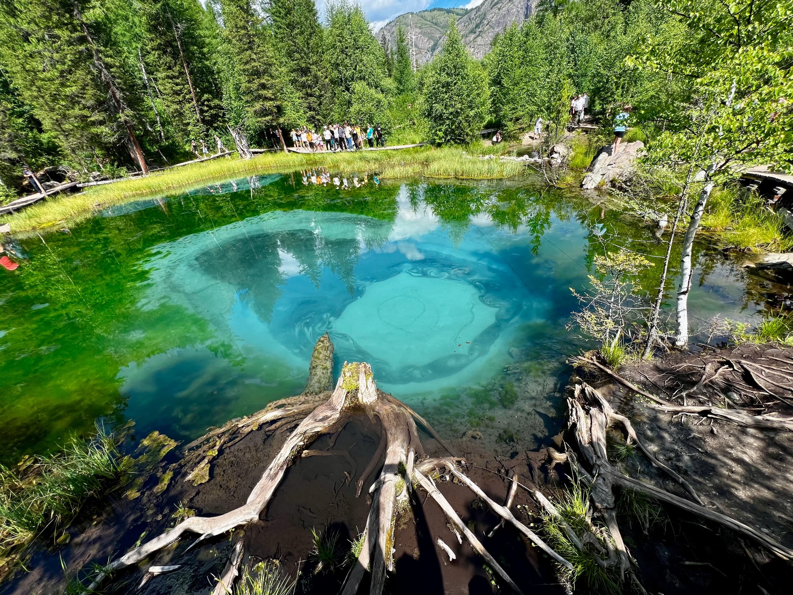 Алтай Драйв: 5 дней свободы. - фото 3