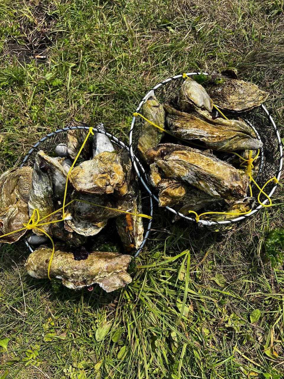 Маяк Анива и Лагуна Буссе - фото 3