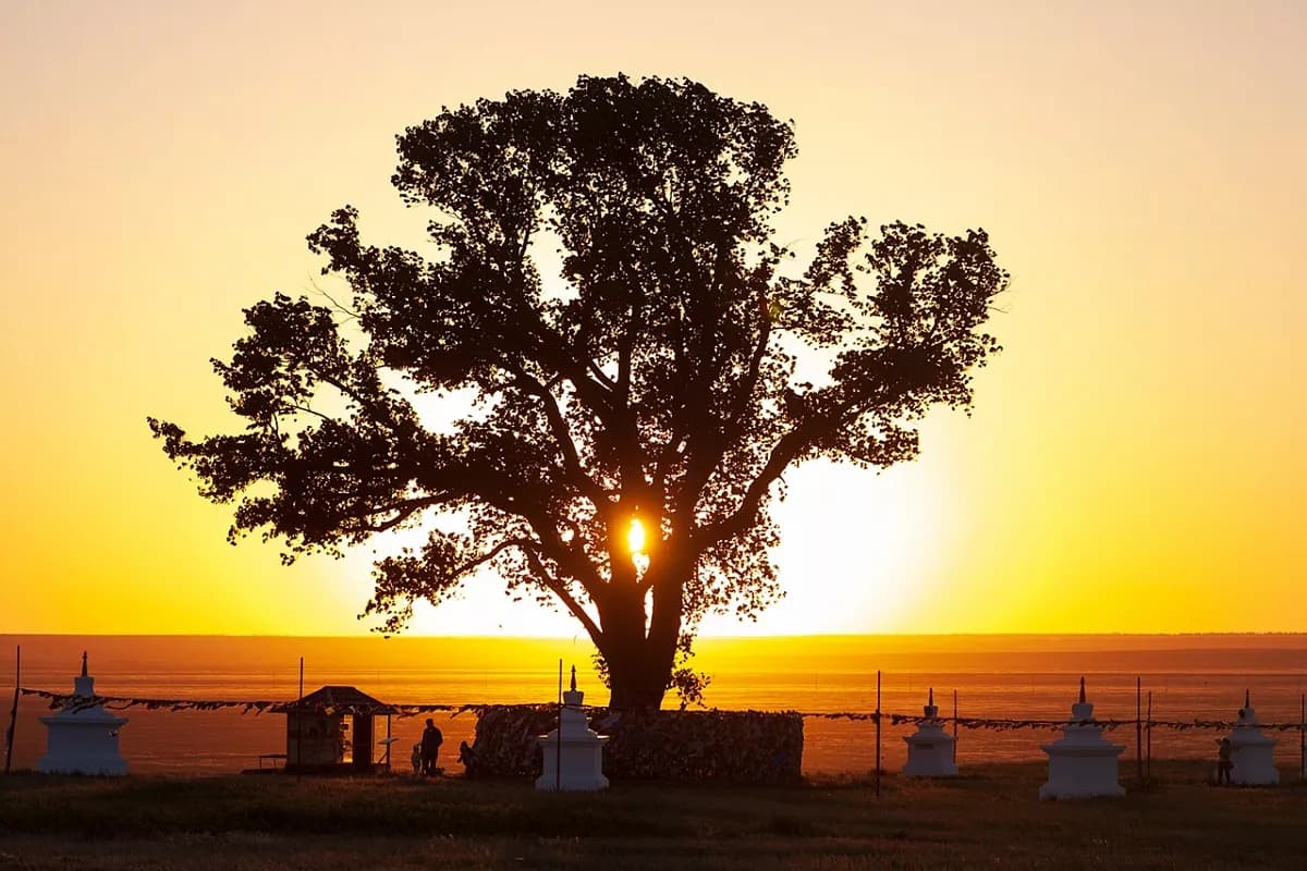 Лотосы в Европе 5 дней / 4 ночи - фото 8