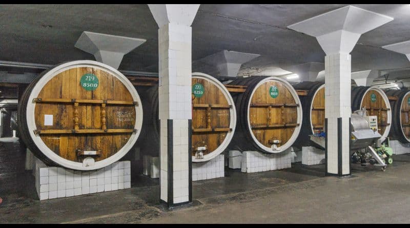 Дегустация вин в Массандре ( винодельческий завод Массандра) - фото 3