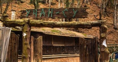 Супер-Тур по Южному берегу Крыма - фото 5