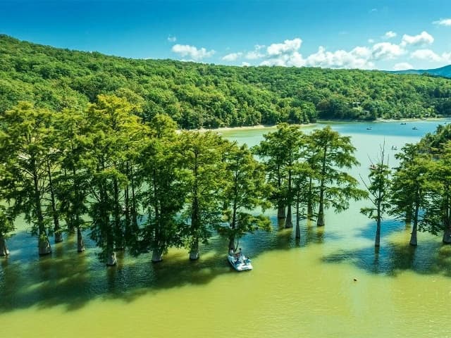 Лавандовое погружение: Арт-путешествие в Анапе - фото 4