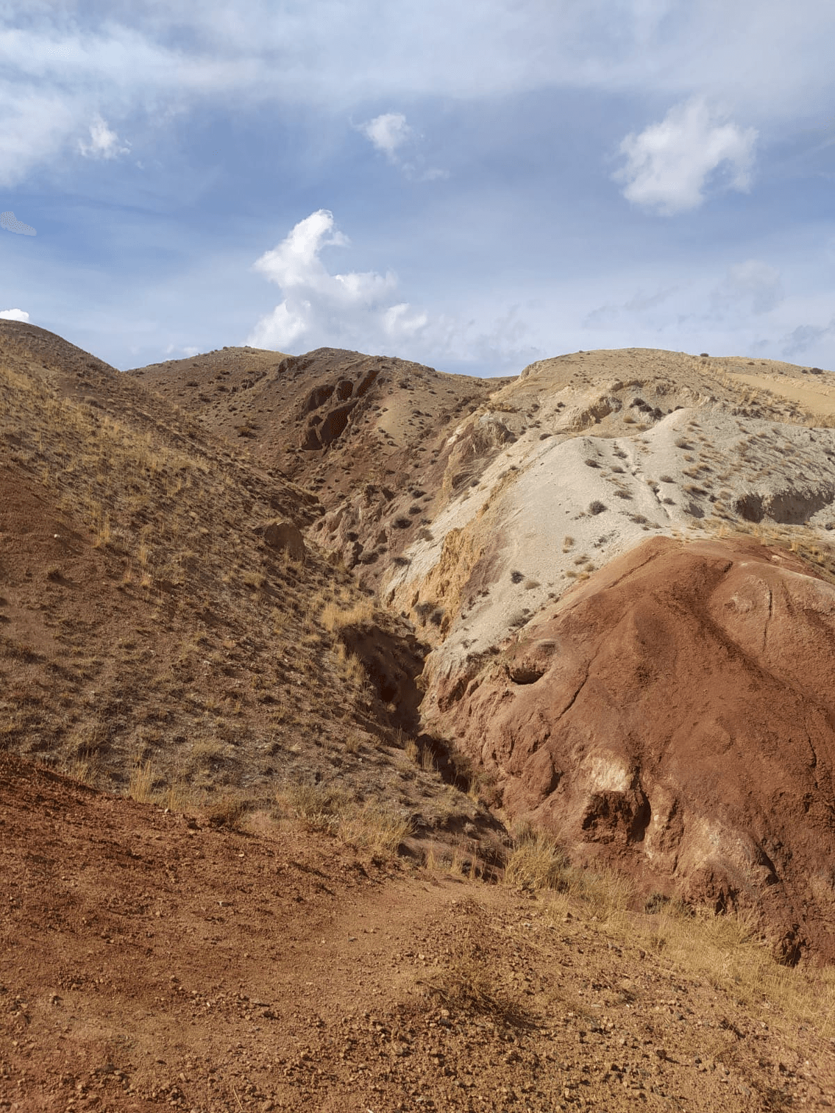 Марсовы горы (экскурсия для баз в районе с. Манжерок) - фото 5