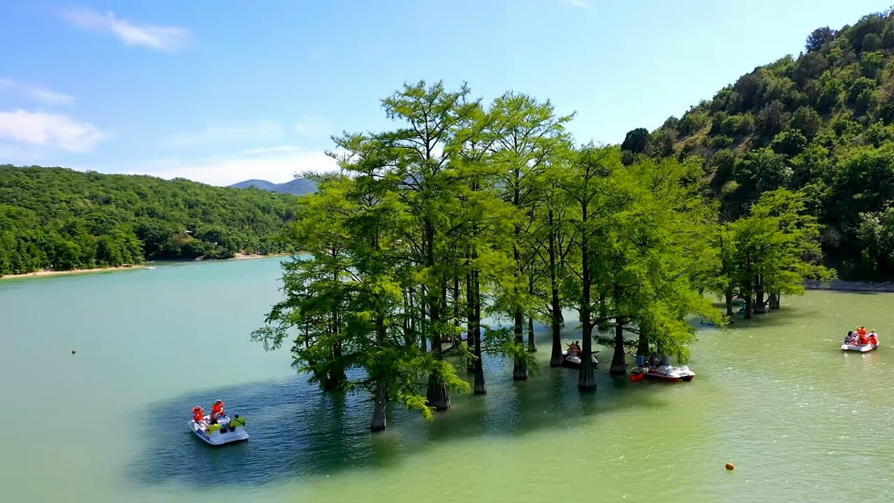 Лавандовое погружение: Арт-путешествие в Анапе - фото 5