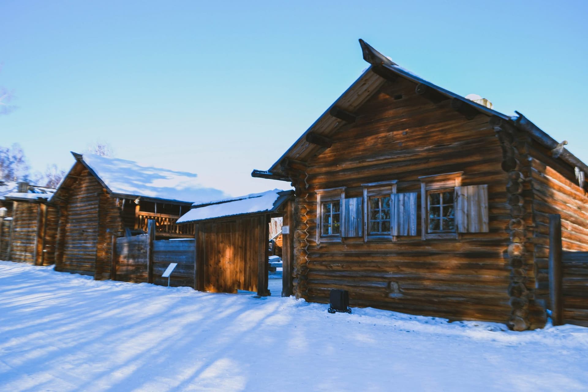 Экскурсия в Листвянку и Тальцы зимой - фото 8