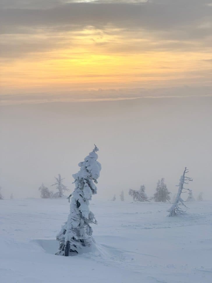 Кандалакша: галерея северной природы (Однодневный тур) - фото 7