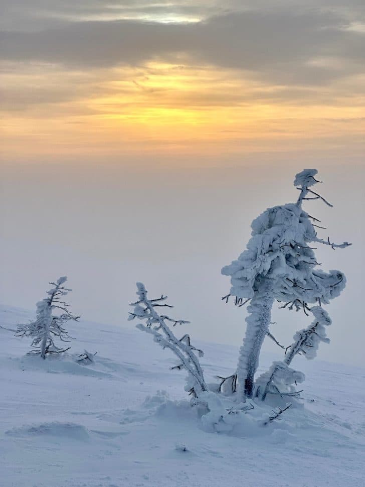 Кандалакша: галерея северной природы (Однодневный тур) - фото 10