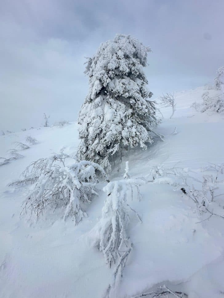 Кандалакша: галерея северной природы (Однодневный тур) - фото 12