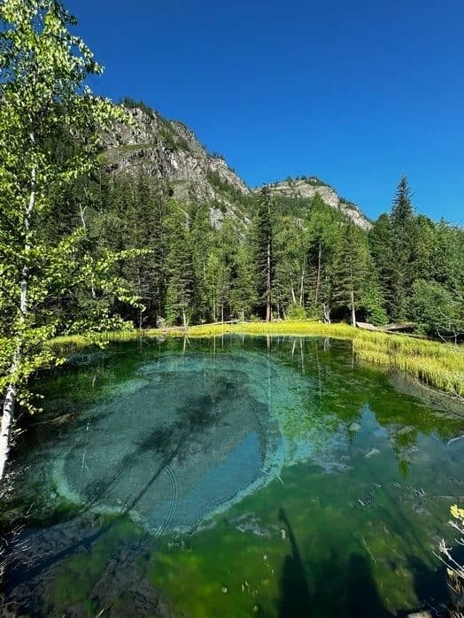 Загадочный Алтай: Укок и Карагемский прорыв - фото 7