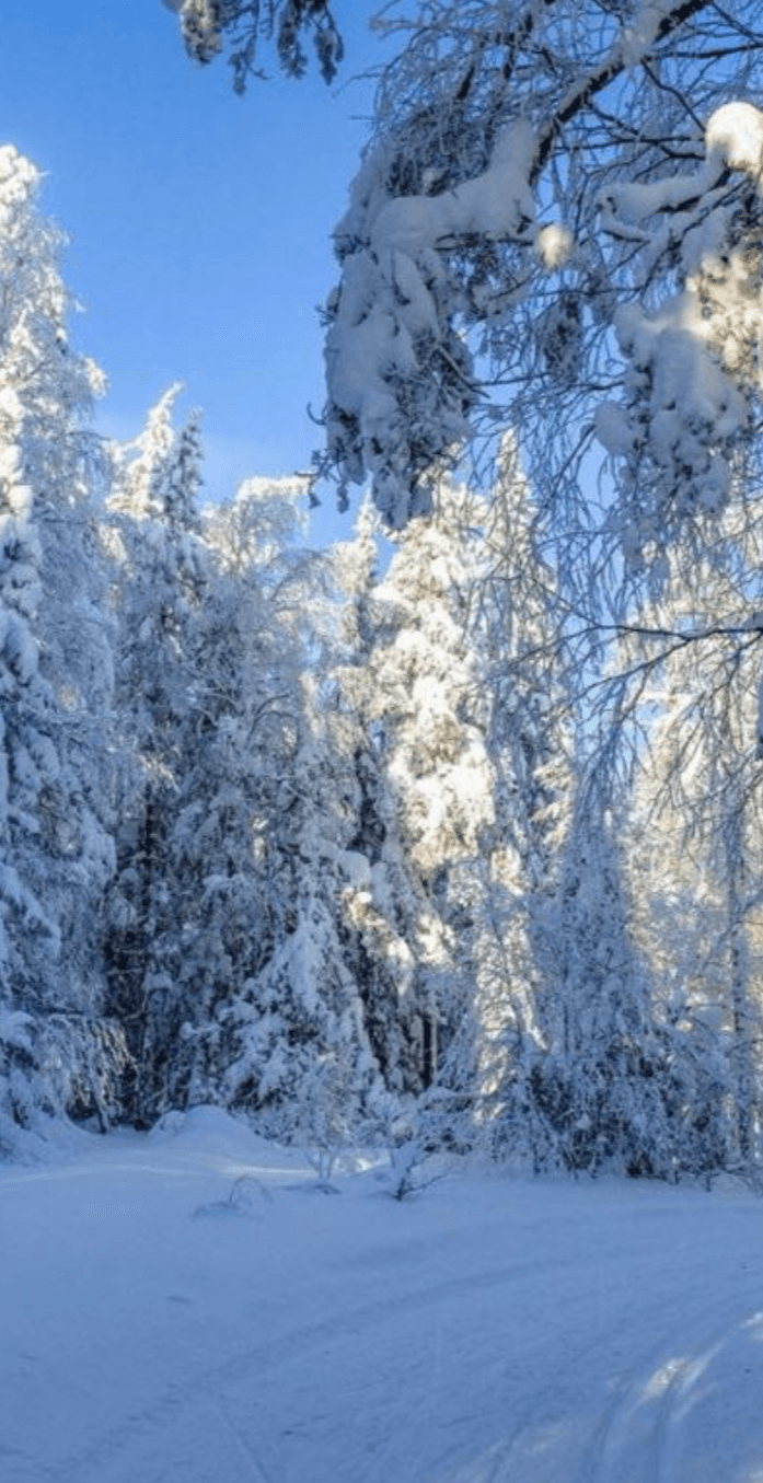 Снегоходный тур на Мицульский хребет - фото 3