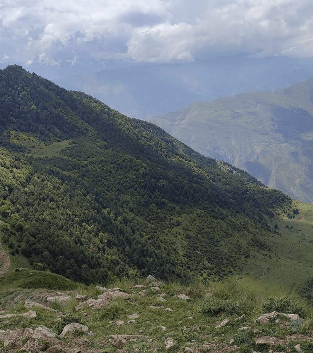 Кухня без границ в Дагестане - фото 5