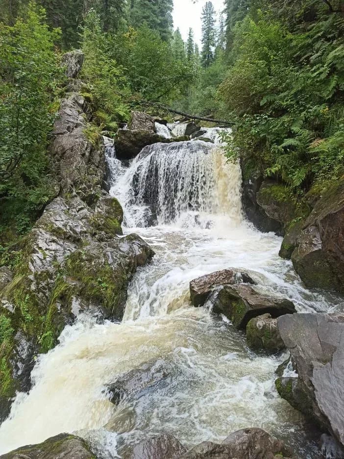 Озеро Телецкое (экскурсии с баз ОЭЗ Бирюзовая Катунь) - фото 3