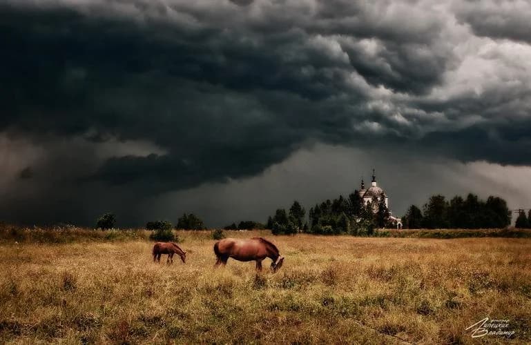 Провинциальное очарование: вдоль Волги и Мсты к Ростовскому кремлю из Санкт-Петербурга - фото 2