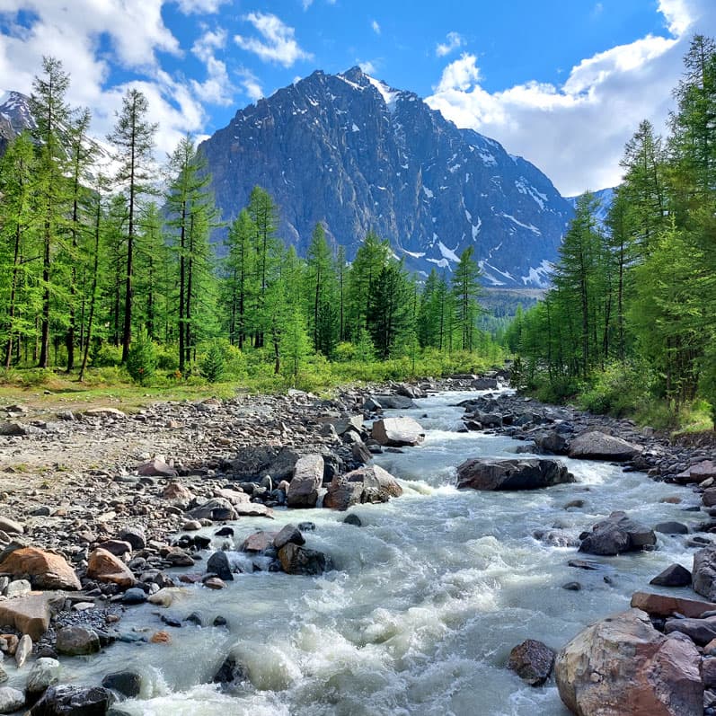 Треккинг на Алтай. Ущелье Актру - фото 5