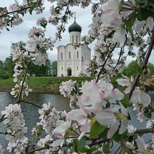 Автобусная экскурсия по Боголюбово и Суздалю - фото 5
