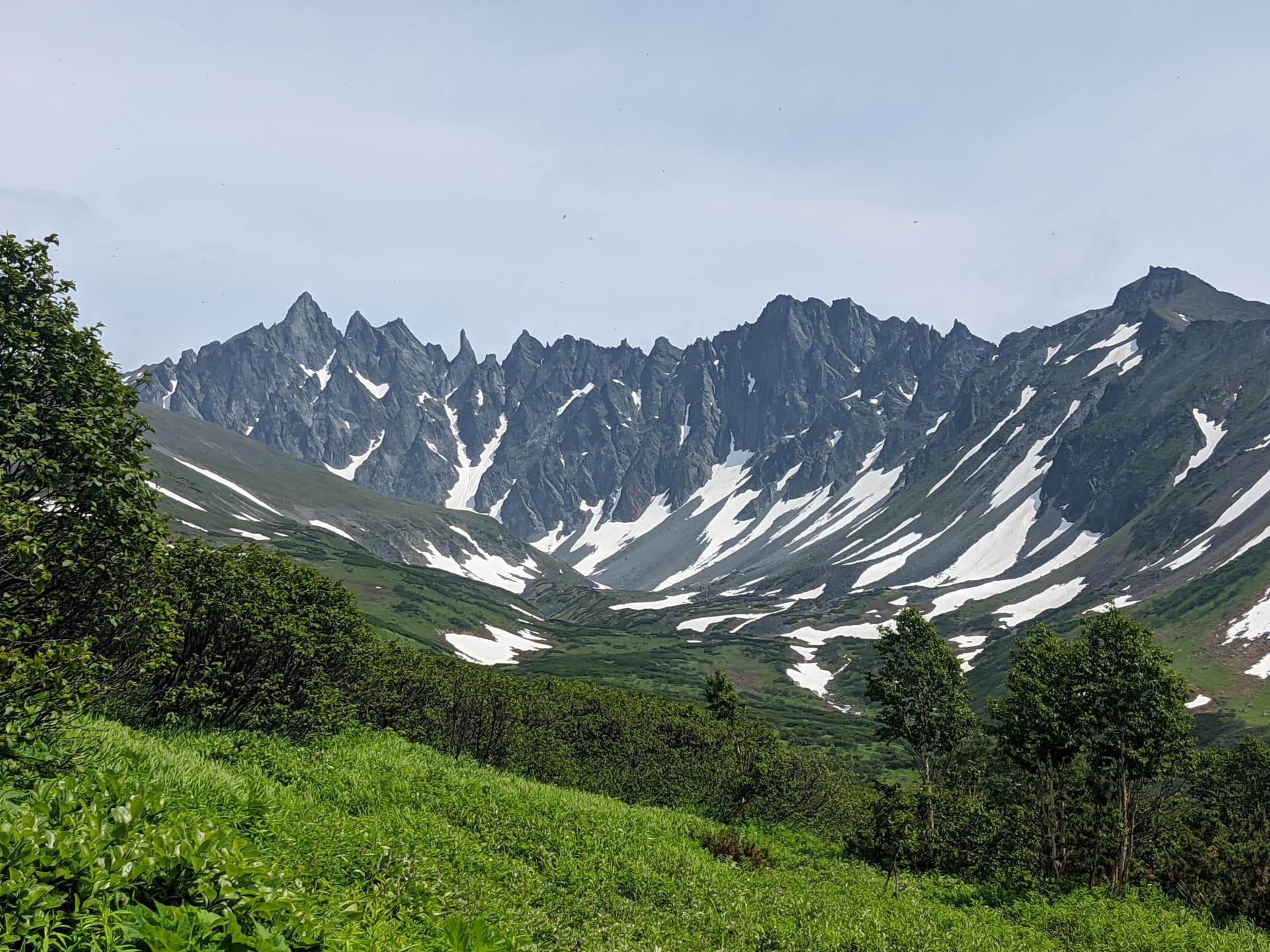 Ганальские востряки - фото 5