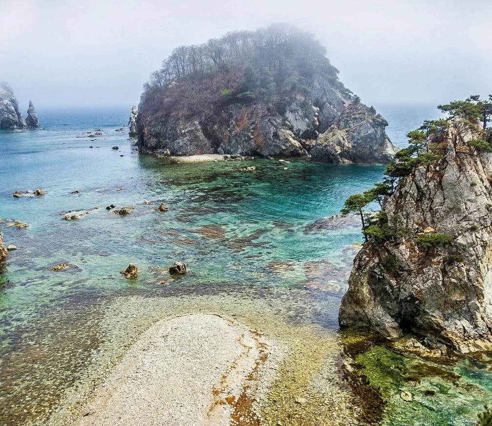 Морской заповедник. Восточный участок. Тюлени, сосны и лазурное море. - фото 1