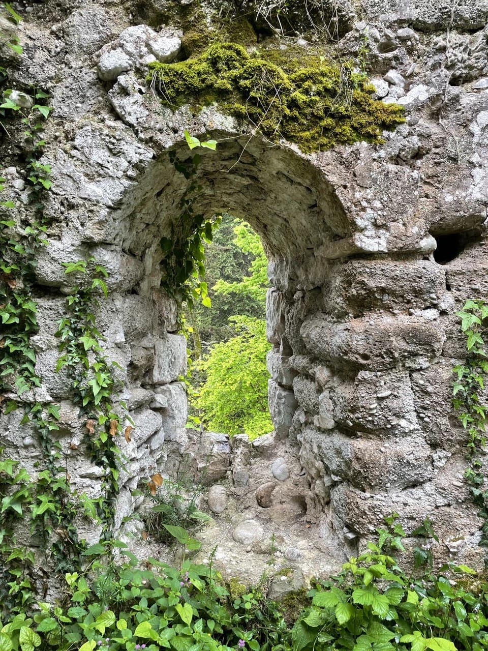 Аргонавты XXI века. Байдарочный поход вдоль побережья Абхазии - фото 9
