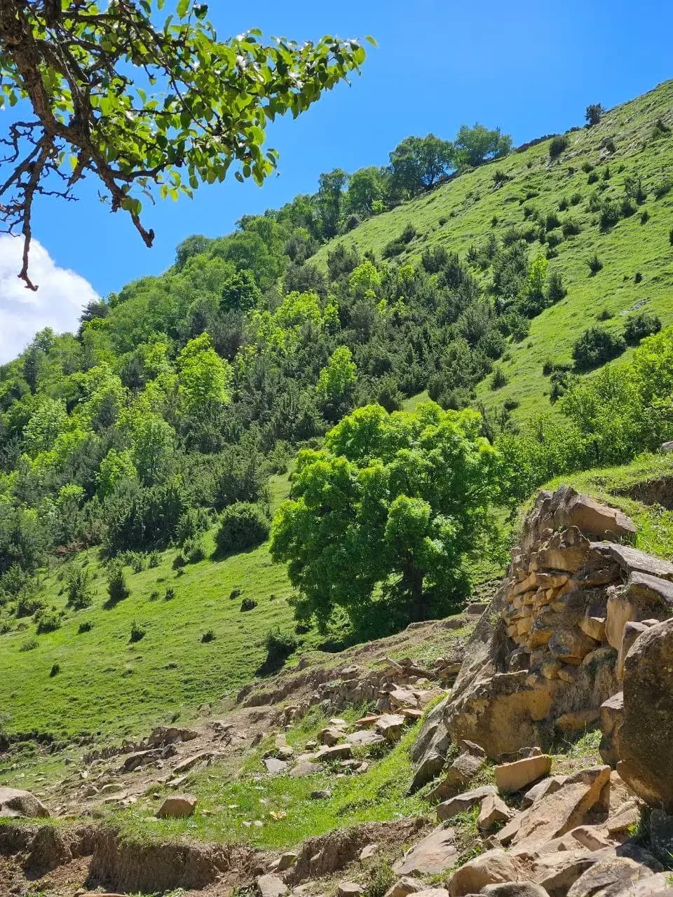 В Гости к Горцам - фото 8