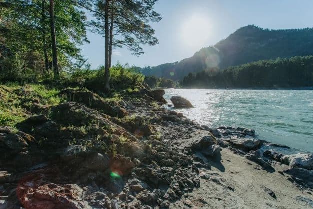 Алтайская коллекция ( 6 дней / 5 ночей ) - фото 8