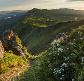 Чёртов палец на Алтае (джип-тур) (экскурсия для баз в районе оз. Ая) - фото 4