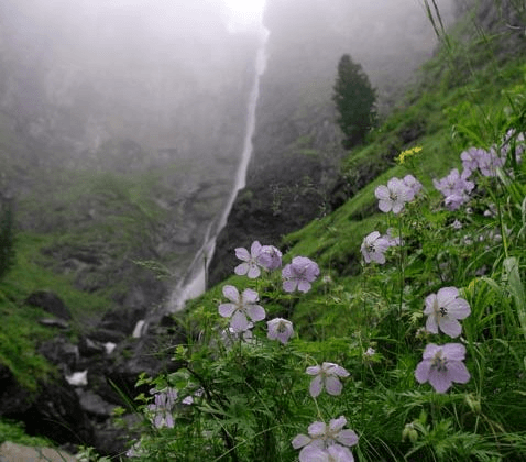 Активная экскурсия - Шинокские водопады (экскурсии в Белокурихе) - фото 4