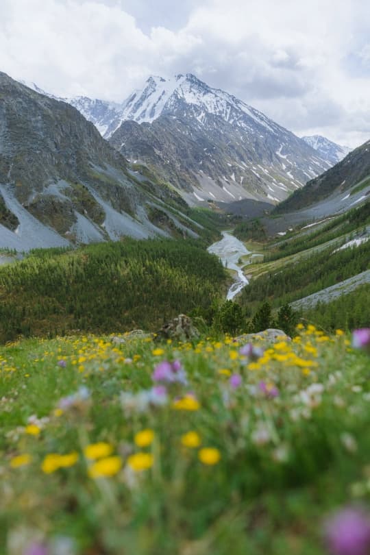 Авторский тур "Алтай & Монголия: Путь кочевников" 10 дней / 9 ночей - фото 3