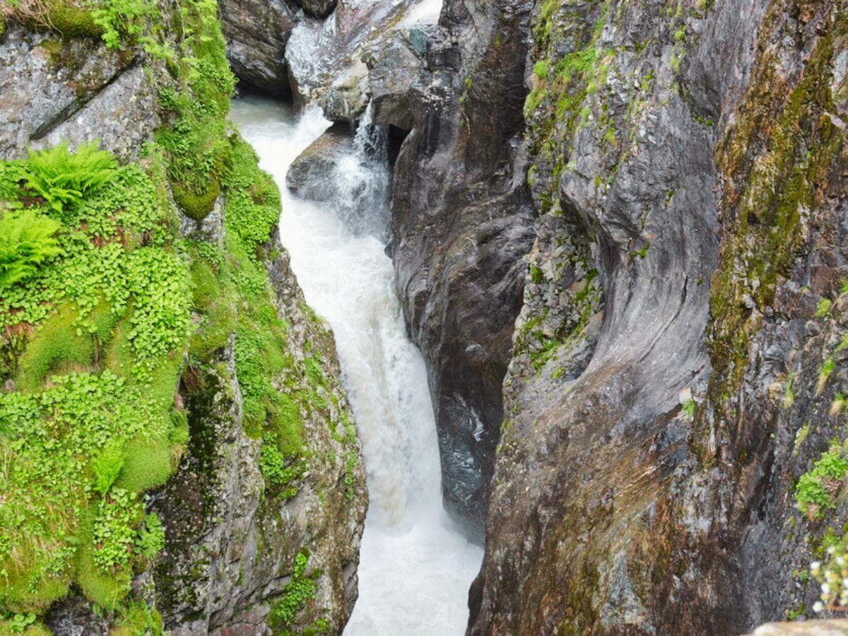 Хайкинг «Домбай и его окрестности» - фото 5