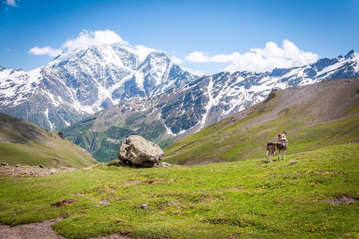 Тур в Кабардино-Балкарию на 5 дней - фото 7