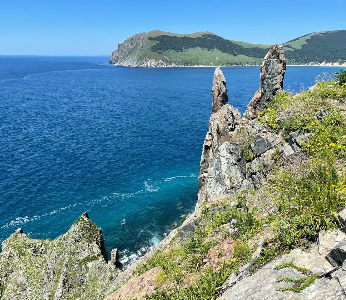 Остров Аскольд, морские котики и сивучи - фото 8