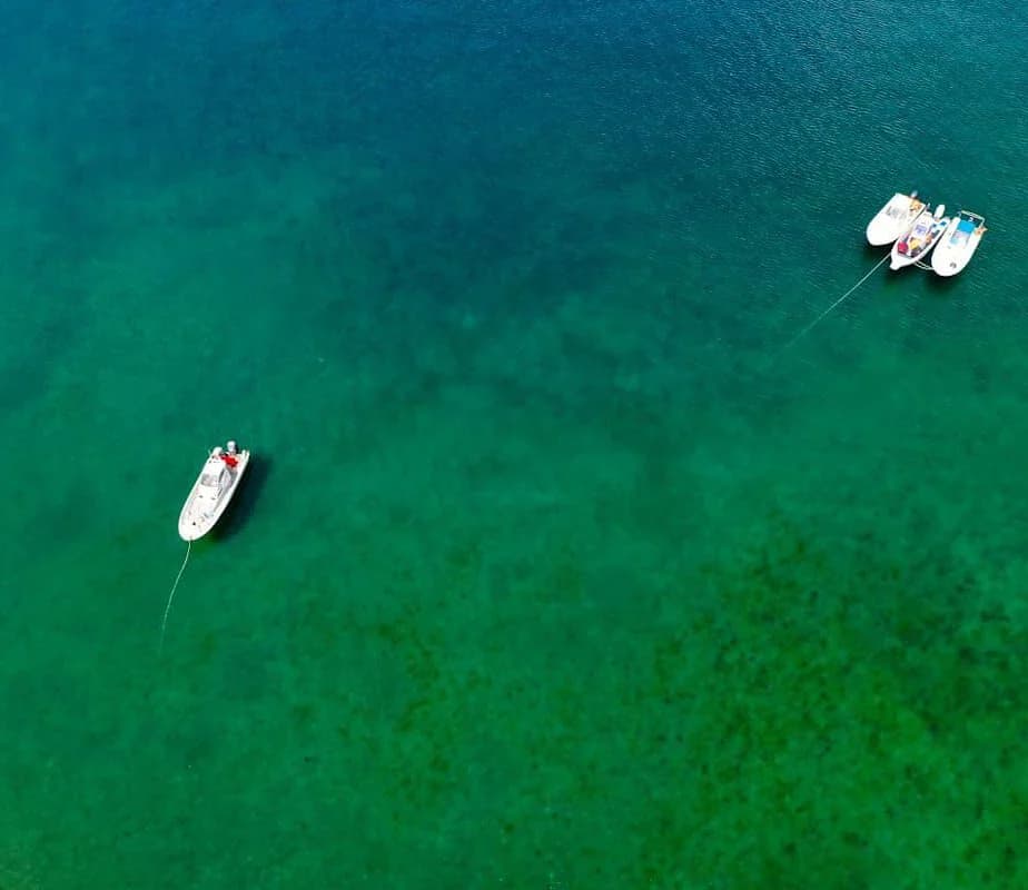 Остров Аскольд, морские котики и сивучи - фото 6