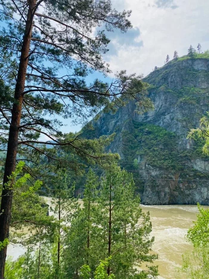 Легенды Чемала (экскурсия с баз от с. Барангол до с. Чемал) - фото 6