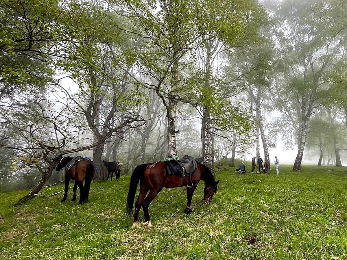 Конный тур «Джигитовка для чайников» - фото 3
