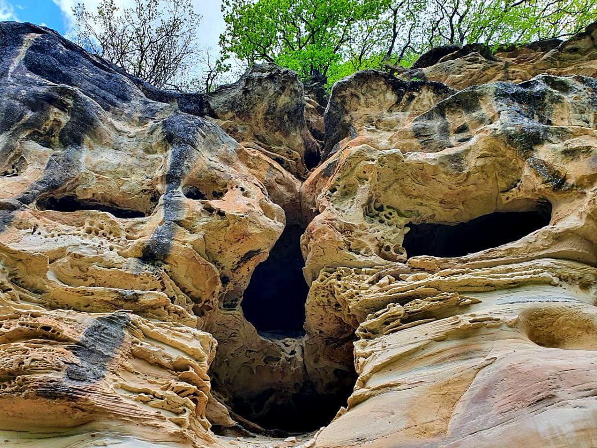 Конный тур «Джигитовка для чайников» - фото 5