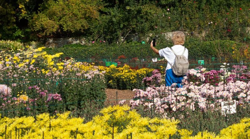 Никитский ботанический сад. - фото 10
