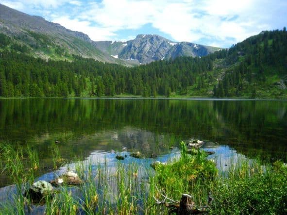 Алтай - место силы ( 8 дней / 7 ночей ) - фото 3