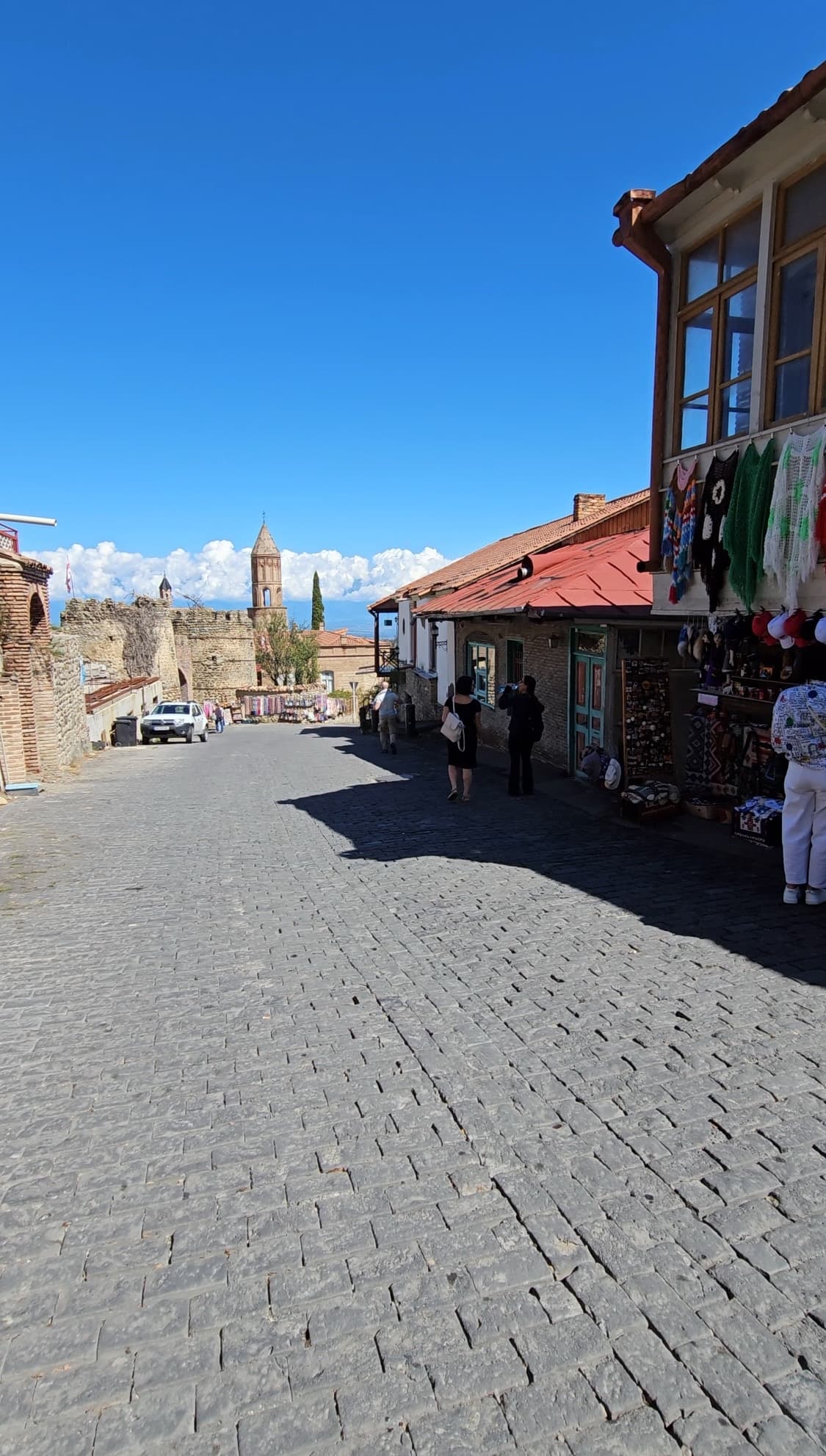 Тур в Грузию, Кахетия, Боржоми 5 дней - фото 7