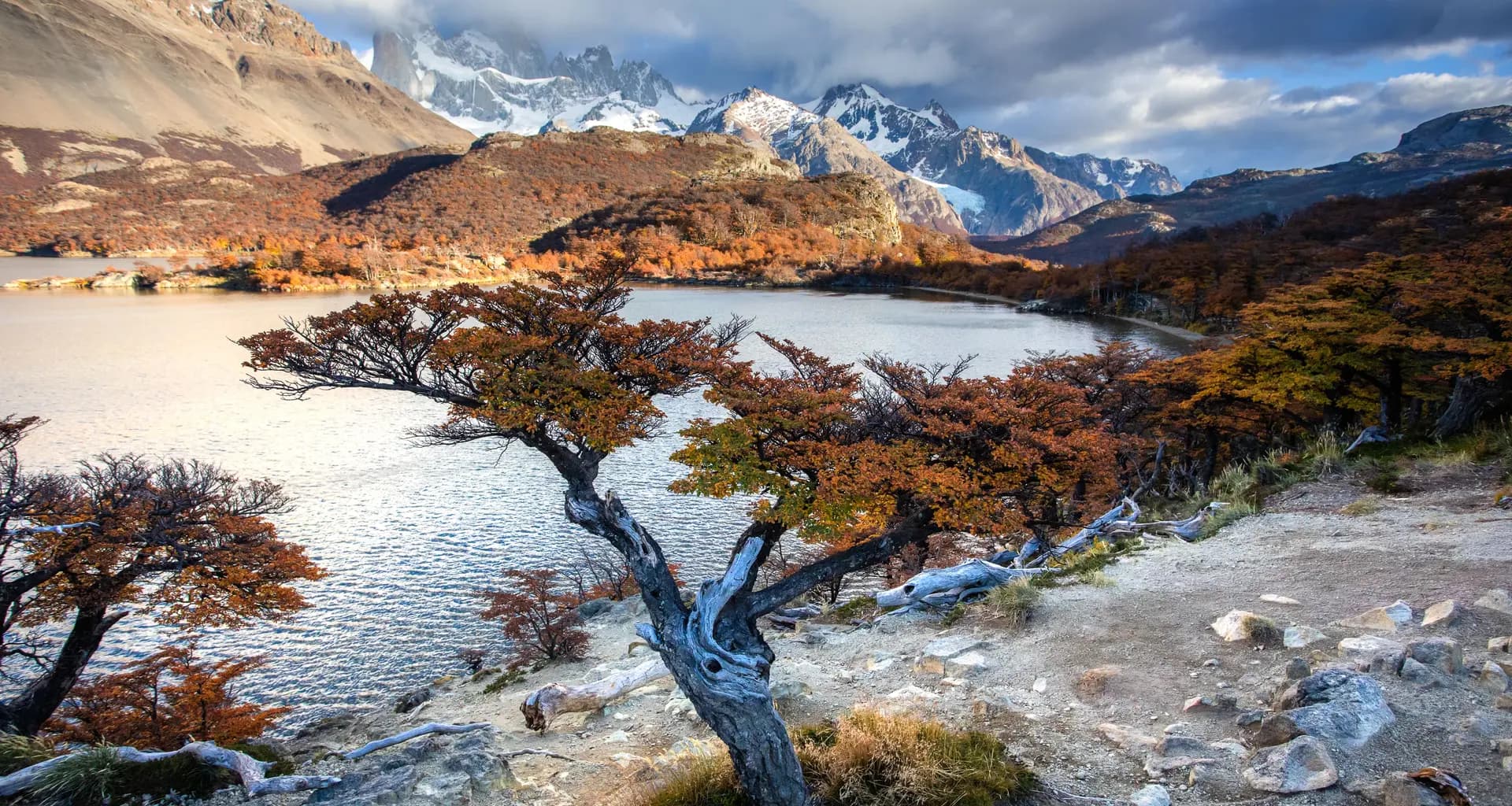 Патагония и Аргентина:От Буэнос-Айреса до края земли - фото 7