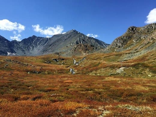 К подножию Белухи: ороктойской тропой, пеший поход - фото 10