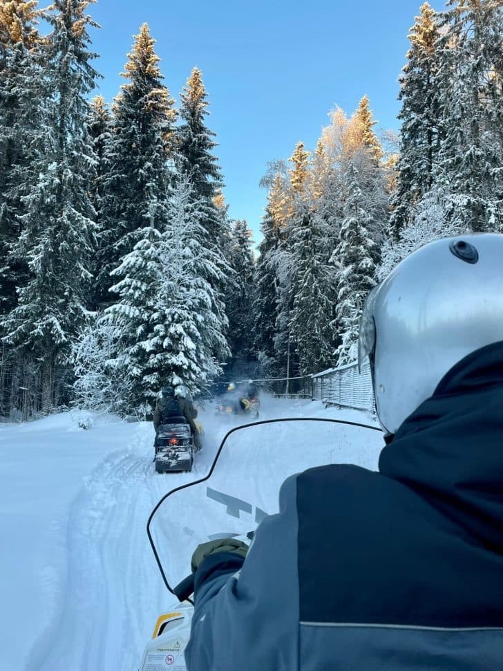 НОВОГОДНЯЯ ФЕЕРИЯ В КАРЕЛИИ - фото 11