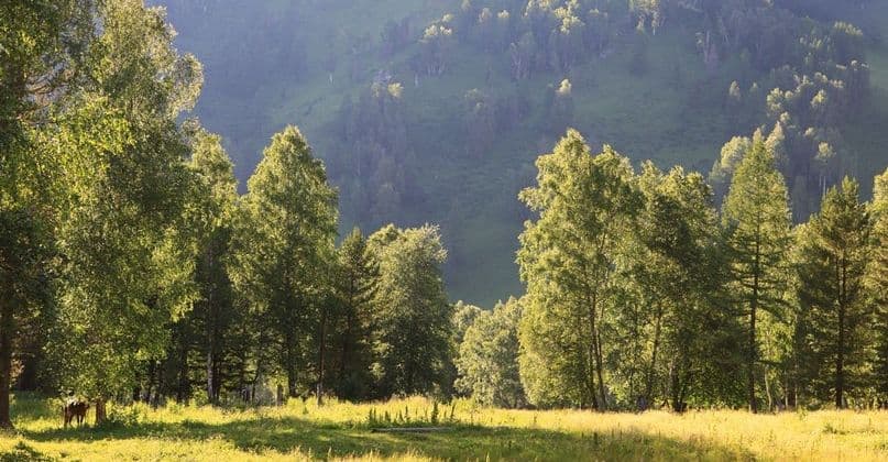 Парк Лабиринтов (экскурсии с баз ОЭЗ Бирюзовая Катунь) - фото 5