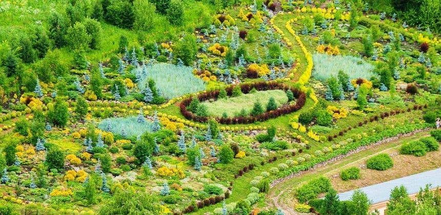 Алтайское холмогорье (экскурсии в Белокурихе) - фото 4