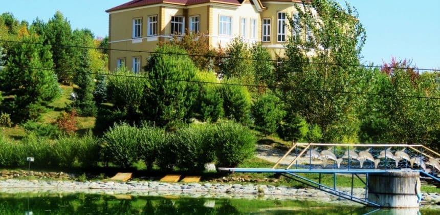 Алтайское холмогорье (экскурсии в Белокурихе) - фото 5