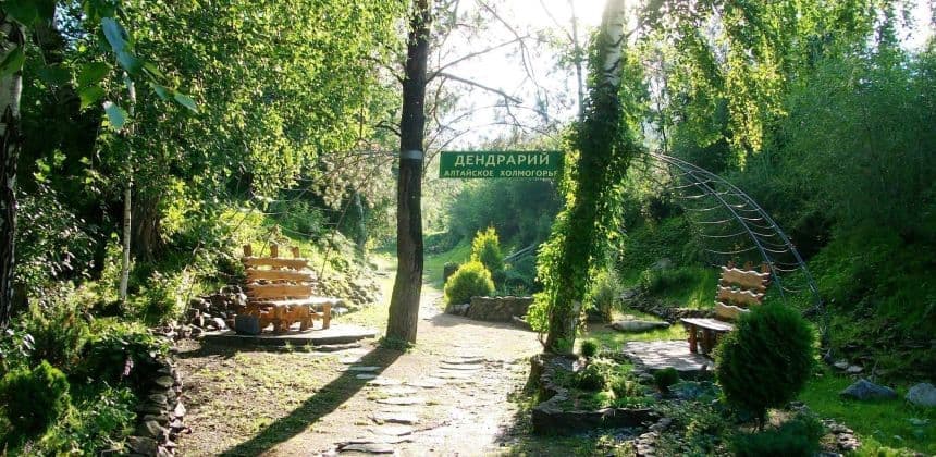 Алтайское холмогорье (экскурсии в Белокурихе) - фото 3