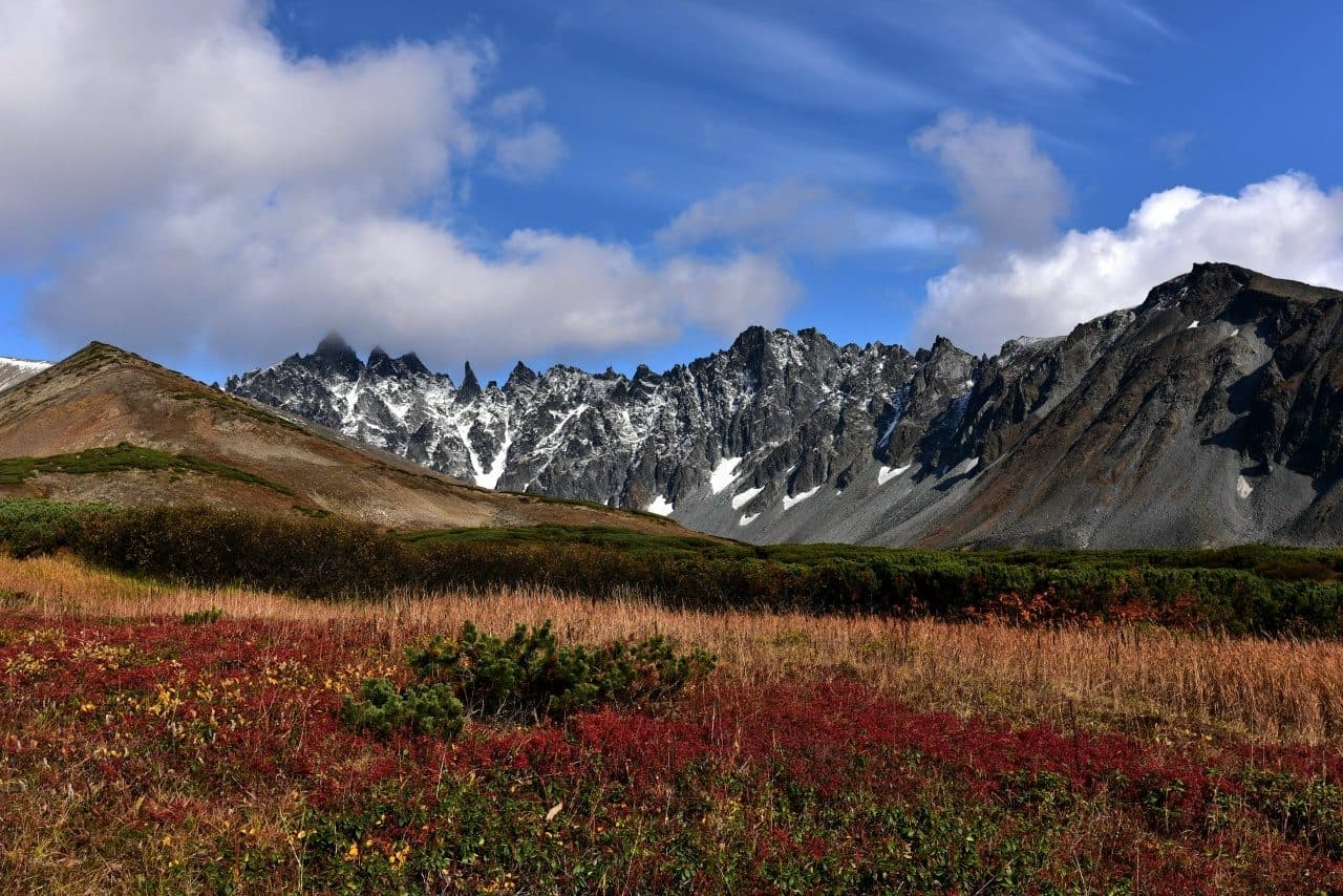 Ганальские востряки - фото 3